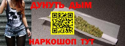 сатива Нальчик