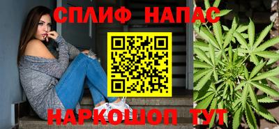сатива Нальчик