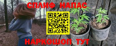 сатива Нальчик