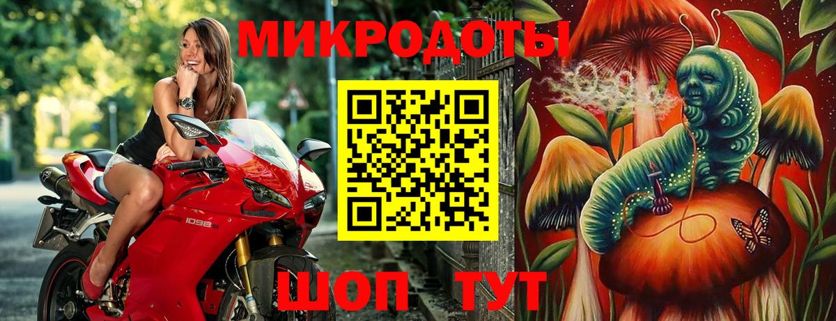 Галлюциногенные грибы Psilocybe  Вход с VPN  Черняховск 